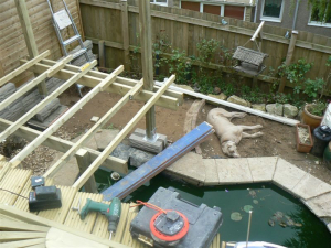 2008 Backgarden - photo 31 of 55