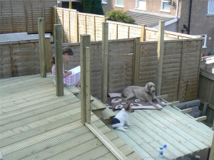 2008 Backgarden - photo 35 of 55
