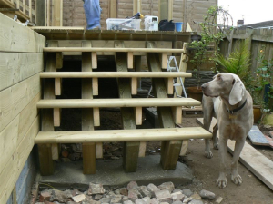 2008 Backgarden - photo 46 of 55