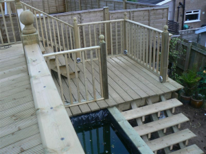 2008 Backgarden - photo 51 of 55