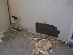 2008 Plastering - photo 29 of 43