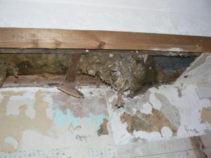 2013 Kitchen - photo 7 of 70