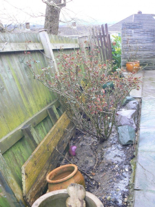 2016 Backwall - photo 4 of 43