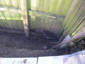 2016 Backwall - photo 5 of 43